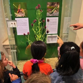 Besuch im Naturkundemuseum Schloss Benrath