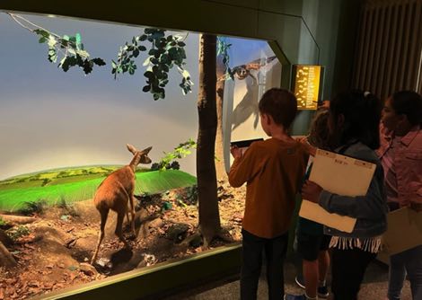 Besuch im Naturkundemuseum Schloss Benrath